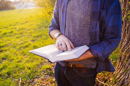 Hand book read field Photo