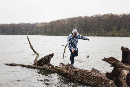 Tree forest wood lake Photo