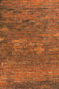 Wood texture floor wall Photo