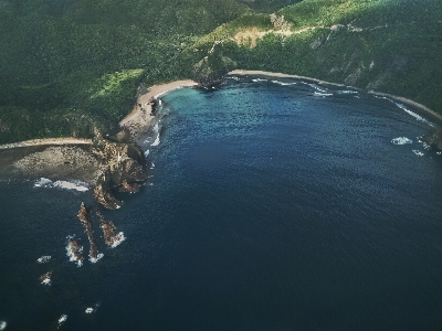 Foto Spiaggia mare costa albero