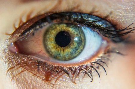 Photography brown mouth eyelash Photo