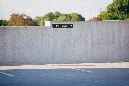 Photo Arbre bois loger parking