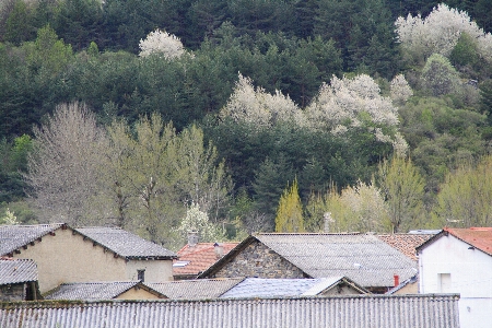 Mountain farm house roof Photo