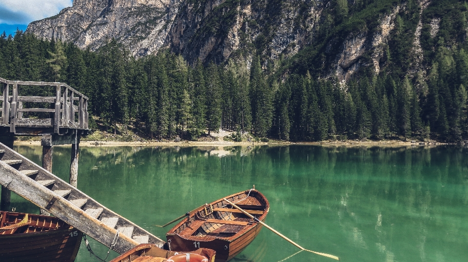 Arbre eau montagne bateau