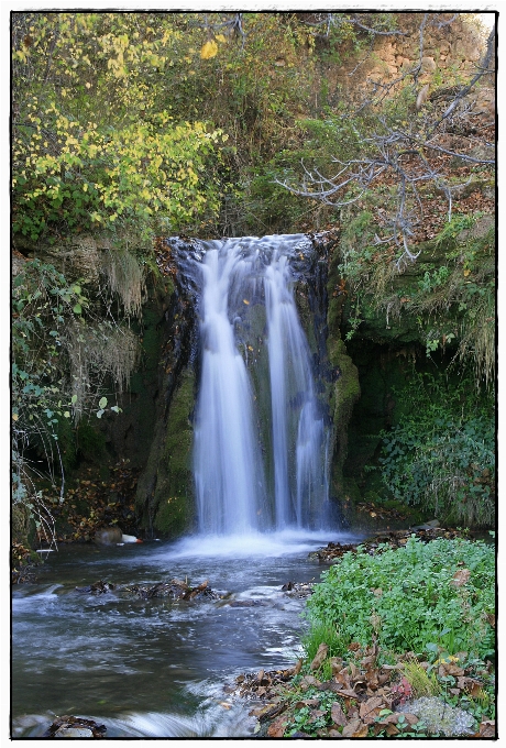 水 森林 瀑布 荒野