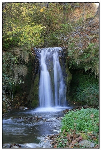 Foto água floresta cachoeira região selvagem
