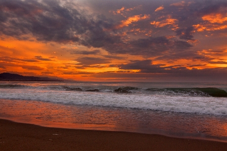 Beach sea coast water Photo