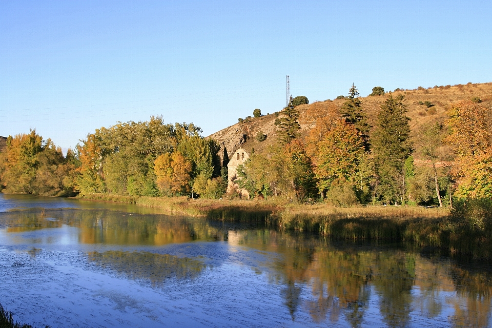 Paysage arbre eau nature