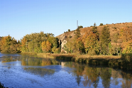 Photo Paysage arbre eau nature