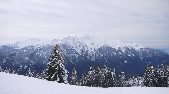 Photo Arbre montagne neige hiver