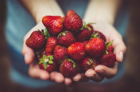 Foto Planta fruta baya alimento