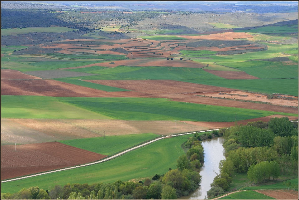 Paysage le marais
 structure champ