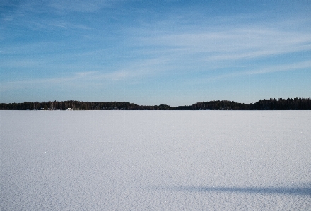 Sea marsh snow winter Photo