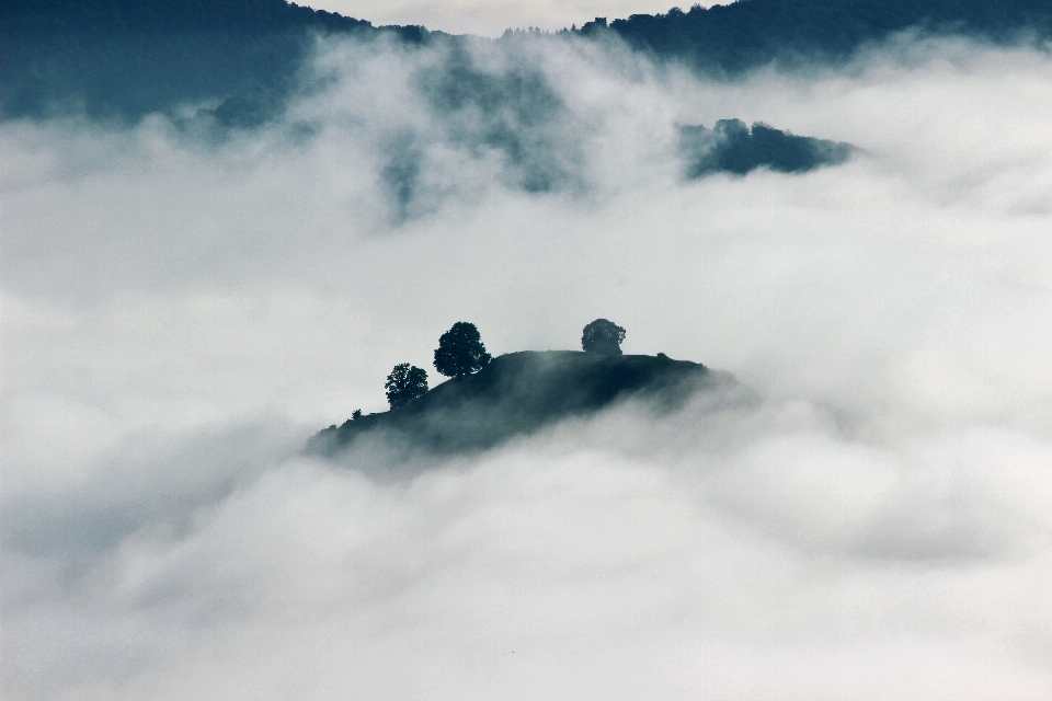 Pohon gunung salju awan