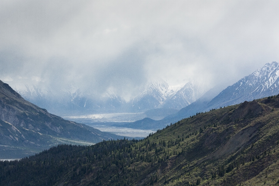 пейзаж дерево природа пустыня
