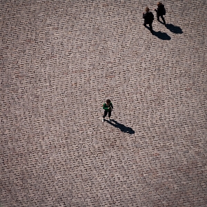 Фото птица крыло лист стена