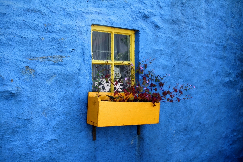 Holz haus blume fenster