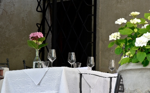 Beyaz çiçek restoran duvar Fotoğraf