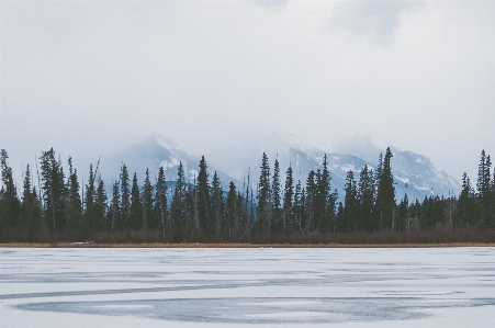 Landscape tree wilderness mountain Photo