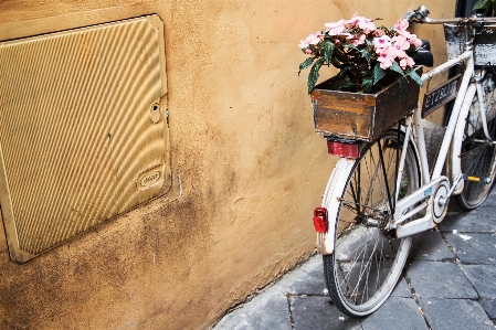 Foto Legna strada ruota fiore