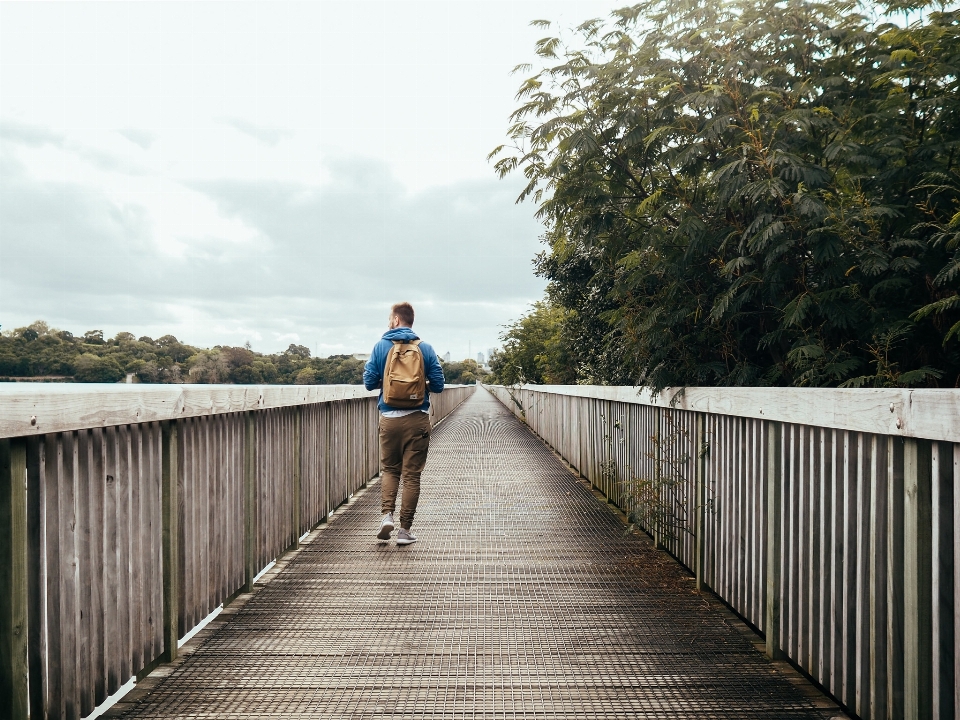 Walking boardwalk bridge walkway