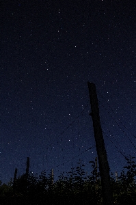 Fence sky night star Photo