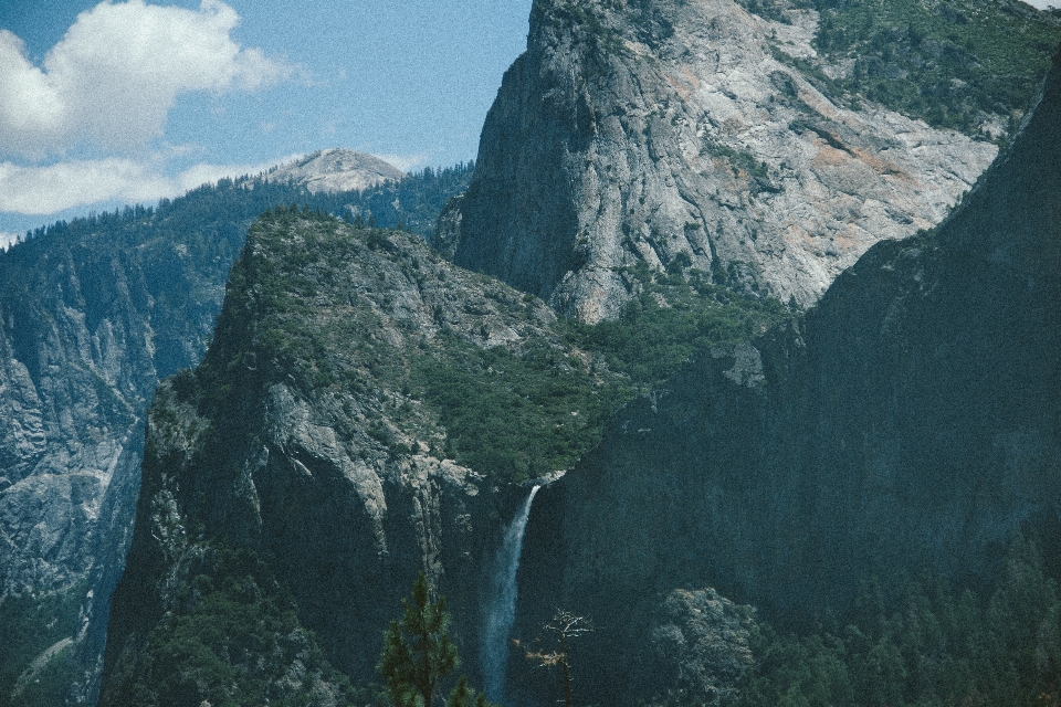 árbol naturaleza cascada montaña