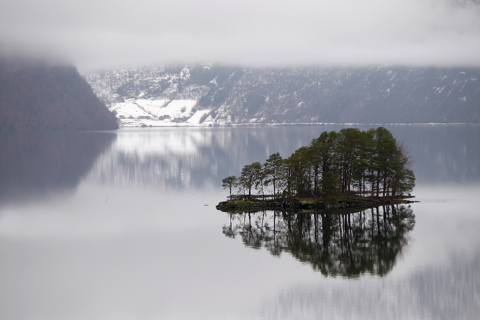 Paisagem mar árvore água