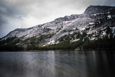 Landscape tree water nature Photo