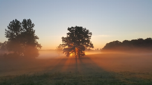 Landscape tree nature horizon Photo