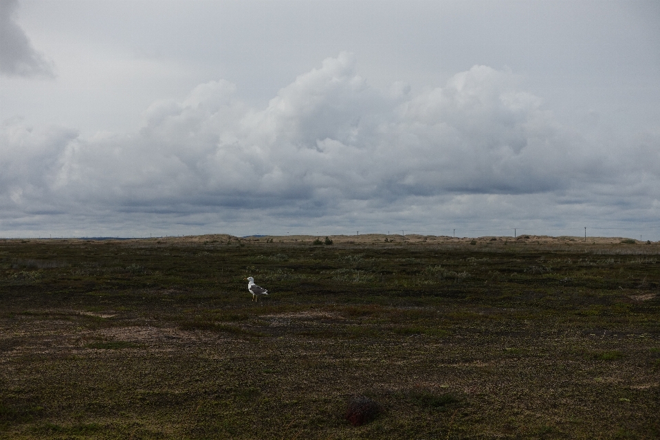 Paysage mer côte nature