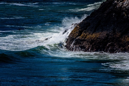 Beach sea coast water Photo