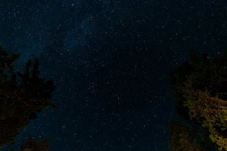 木 空 夜 星 写真