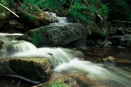 Landscape water nature forest Photo