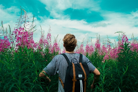 Man nature grass person Photo