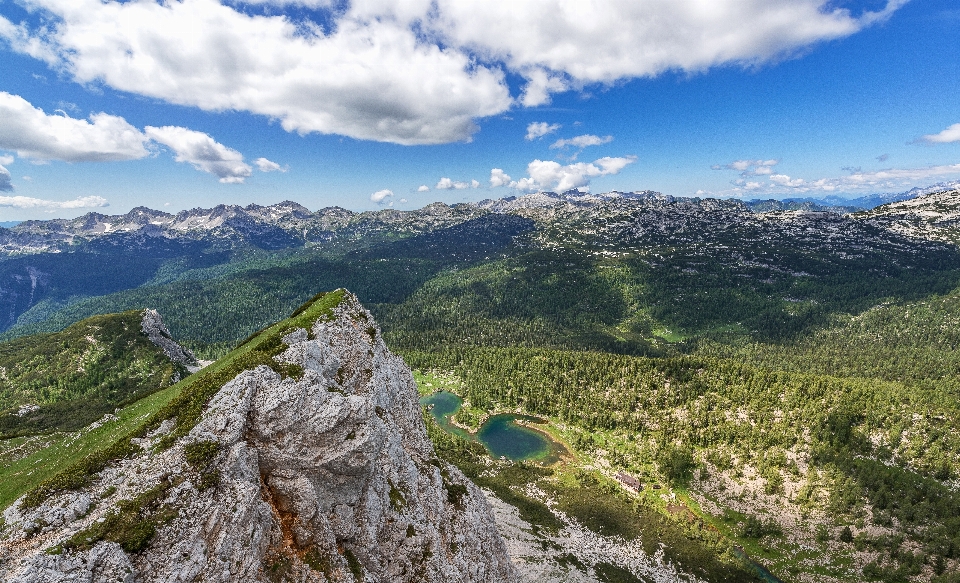 Landscape forest rock wilderness