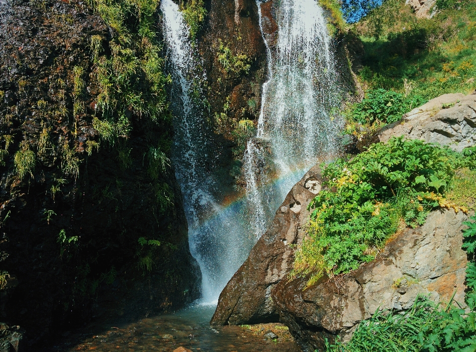 Pohon air alam hutan