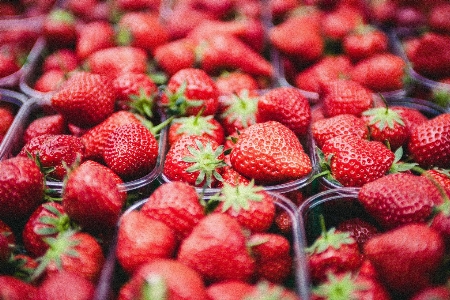 Plant raspberry fruit berry Photo