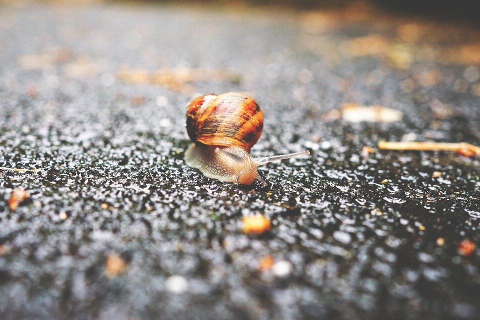 Natur sand boden fotografie