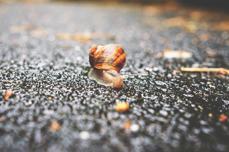 Natur sand boden fotografie Foto