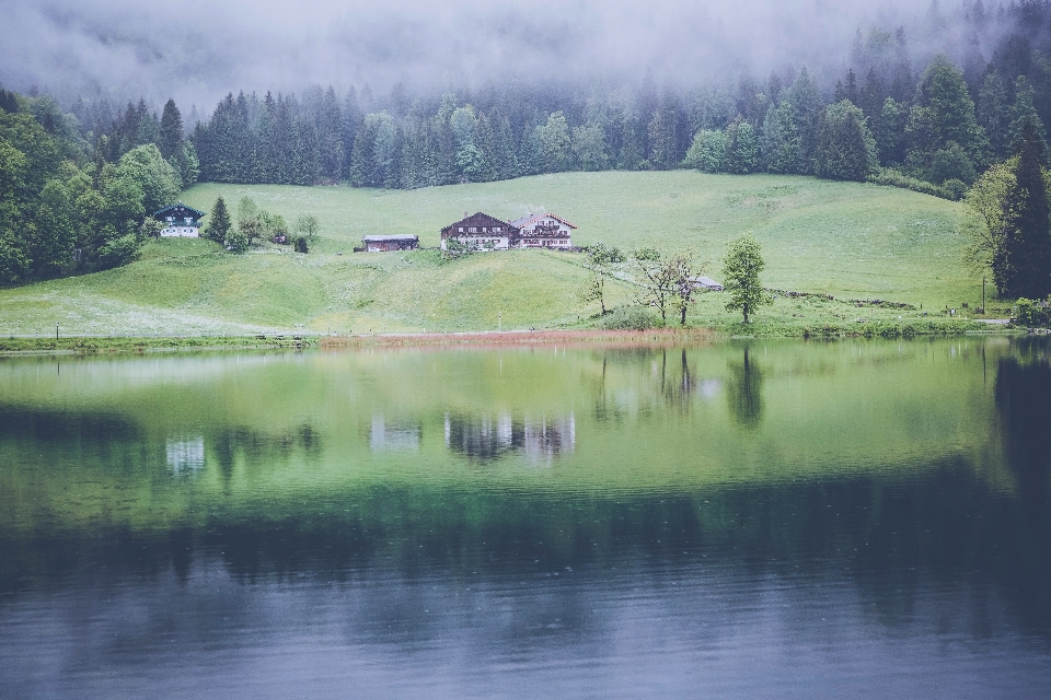 Paesaggio albero acqua natura