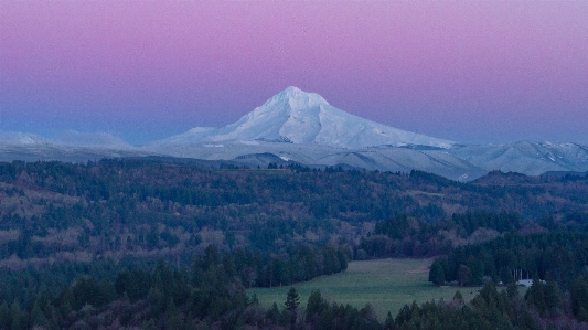 Forest wilderness mountain snow Photo