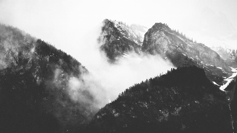 Baum berg schnee wolke