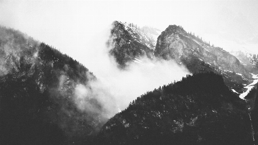 Tree mountain snow cloud Photo