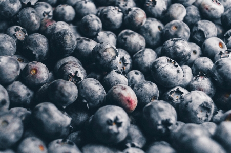 Plant fruit berry purple Photo