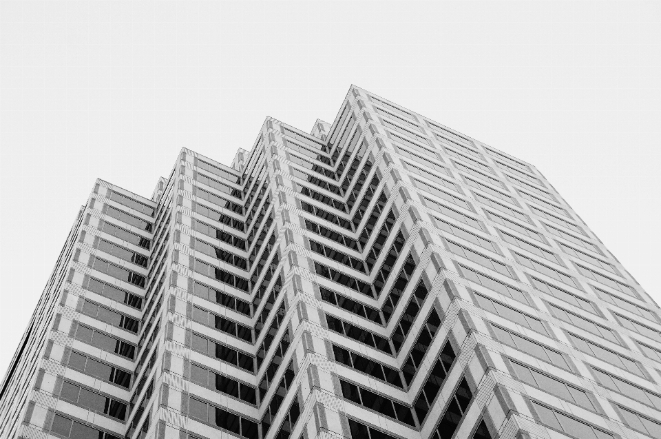 En blanco y negro
 arquitectura edificio rascacielos