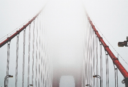 Wolke nebel brücke kabel Foto