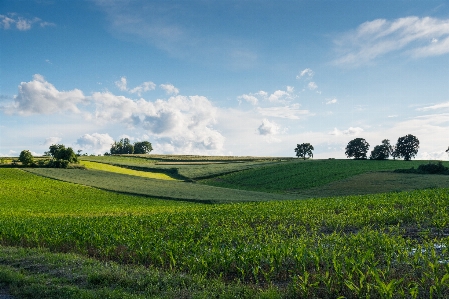 Landscape nature grass horizon Photo