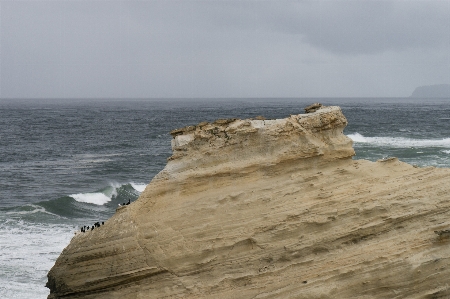 Beach sea coast sand Photo