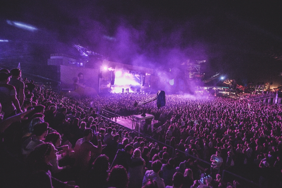 Musique violet foule concert